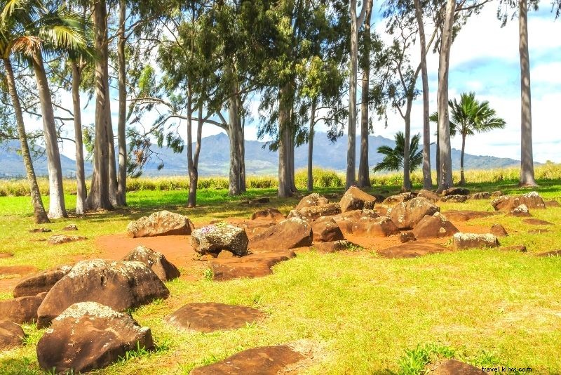 59 Best Things to Do in Honolulu, Hawaii: Ultimate Guide to Beaches, Hikes & Culture