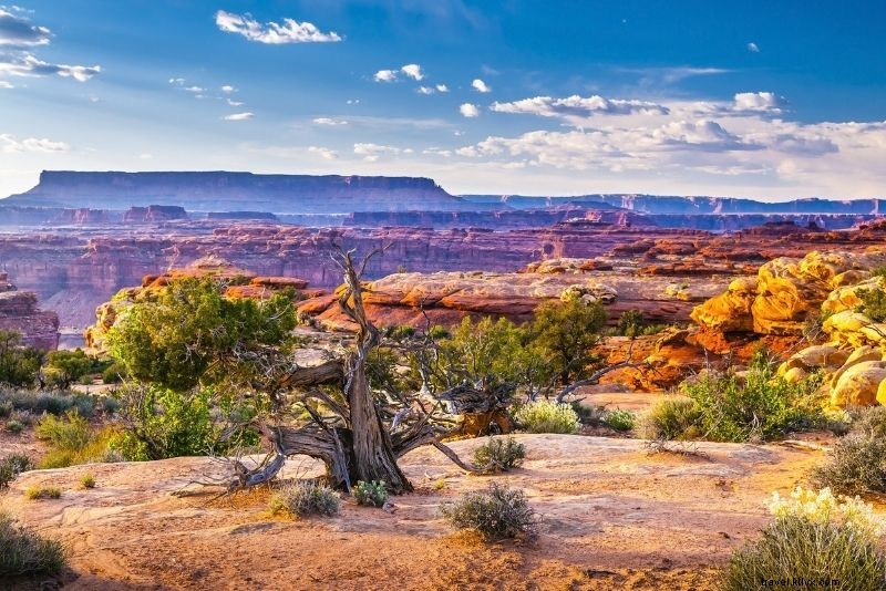 55 Best Things to Do in Moab, Utah: Ultimate Outdoor Adventure Guide