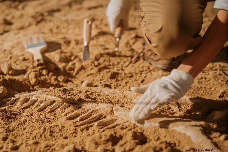 55 Best Things to Do in Moab, Utah: Ultimate Outdoor Adventure Guide