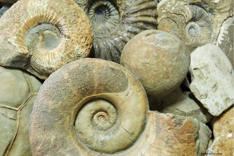 55 Best Things to Do in Moab, Utah: Ultimate Outdoor Adventure Guide