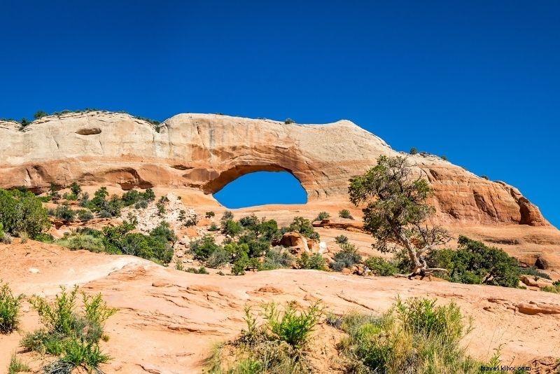 55 Best Things to Do in Moab, Utah: Ultimate Outdoor Adventure Guide