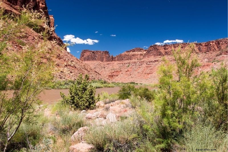 55 Best Things to Do in Moab, Utah: Ultimate Outdoor Adventure Guide