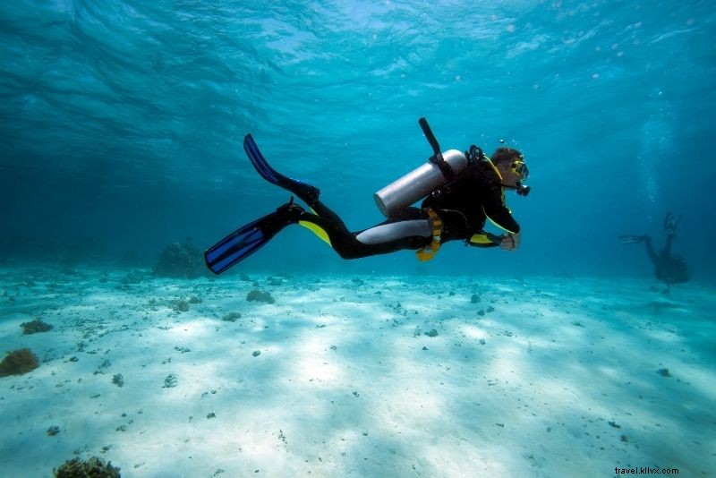 Discover 86 Fun & Unusual Things to Do in The Bahamas