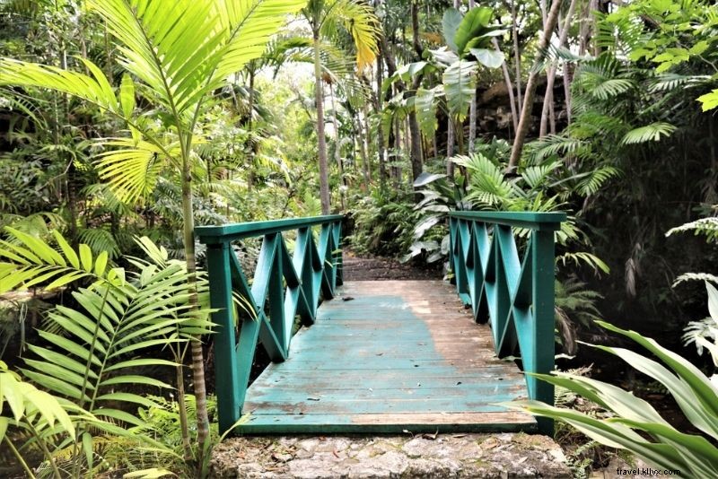 Discover 86 Fun & Unusual Things to Do in The Bahamas