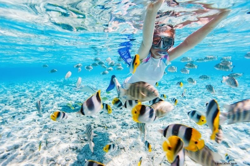 Discover 86 Fun & Unusual Things to Do in The Bahamas