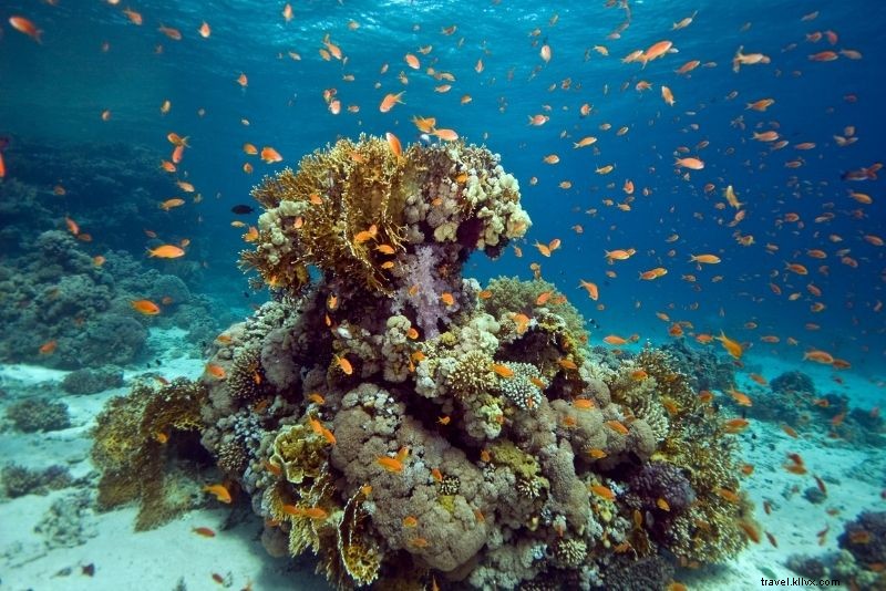 Discover 86 Fun & Unusual Things to Do in The Bahamas