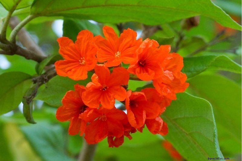 Discover 86 Fun & Unusual Things to Do in The Bahamas