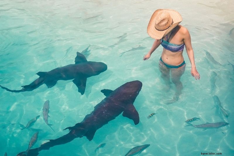 Discover 86 Fun & Unusual Things to Do in The Bahamas