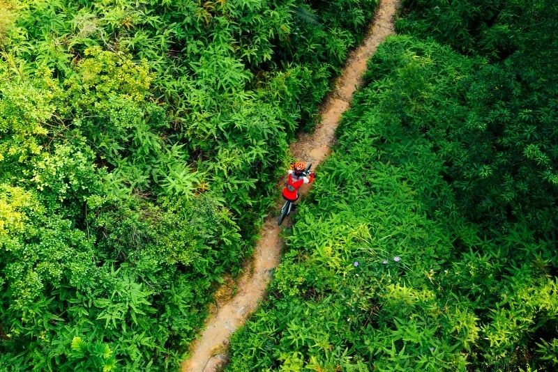 42 Best Things to Do in Tulum, Mexico: Mayan Ruins, Cenotes & Adventures