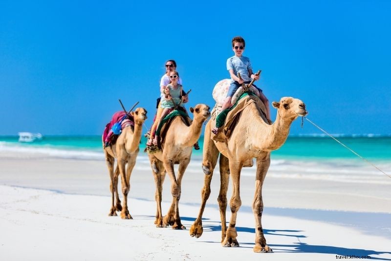 50 Best Things to Do in Playa del Carmen, Mexico: Ultimate Travel Guide