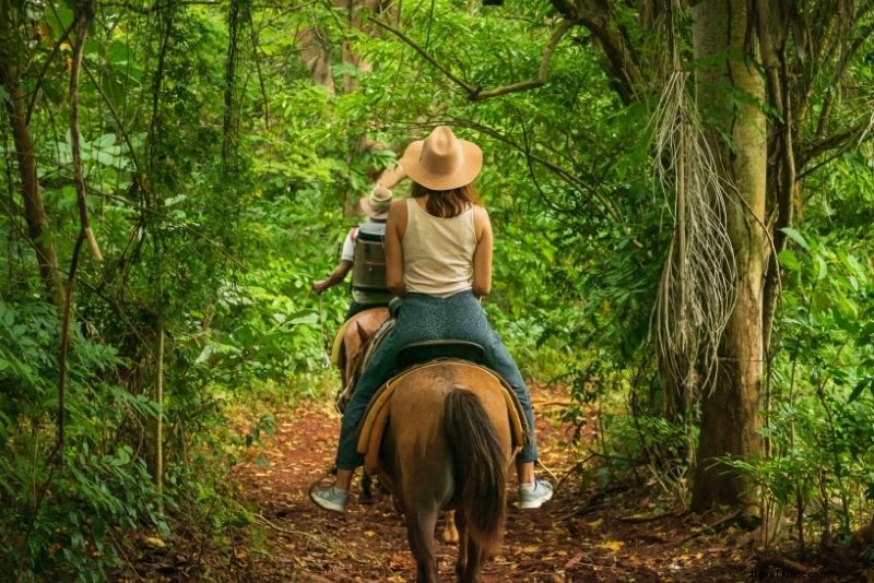 50 Best Things to Do in Playa del Carmen, Mexico: Ultimate Travel Guide