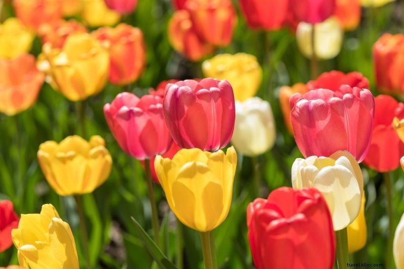 Discover 68 Must-Do Things in Denver, Colorado: Ultimate Guide