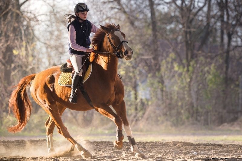 Discover 68 Must-Do Things in Denver, Colorado: Ultimate Guide