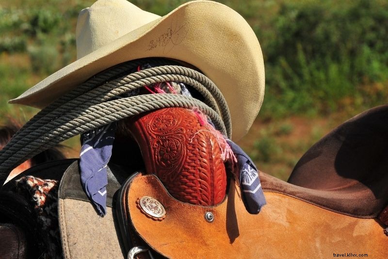 Discover 68 Must-Do Things in Denver, Colorado: Ultimate Guide