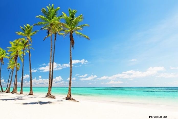 Discover 46 Must-Do Activities in Punta Cana, Dominican Republic