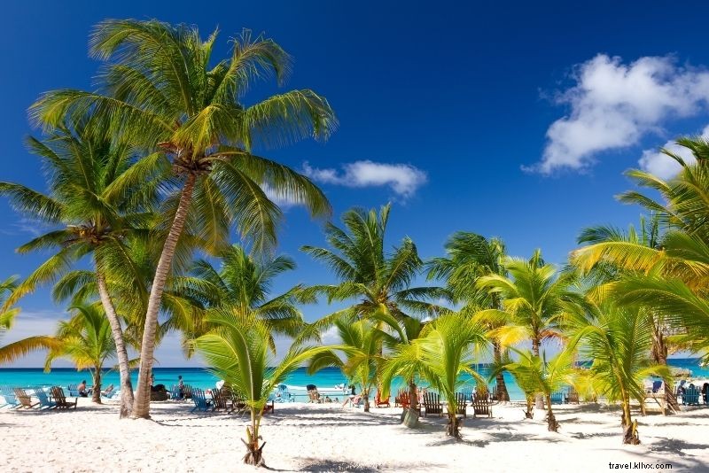 Discover 46 Must-Do Activities in Punta Cana, Dominican Republic