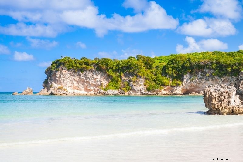 Discover 46 Must-Do Activities in Punta Cana, Dominican Republic