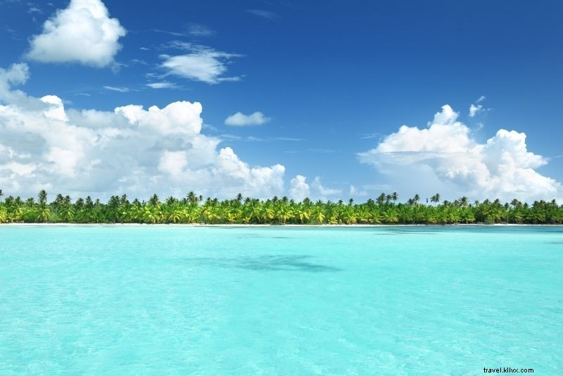 Discover 46 Must-Do Activities in Punta Cana, Dominican Republic