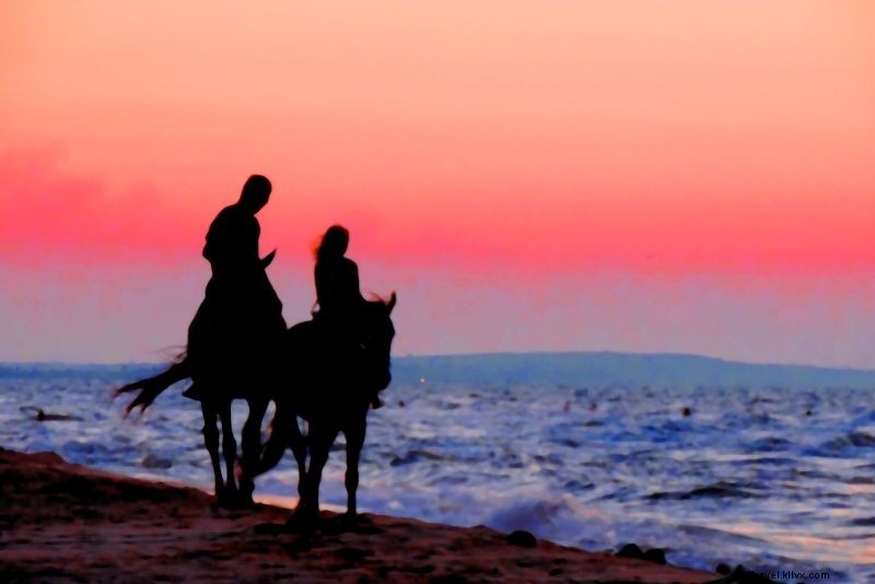 Discover 46 Must-Do Activities in Punta Cana, Dominican Republic