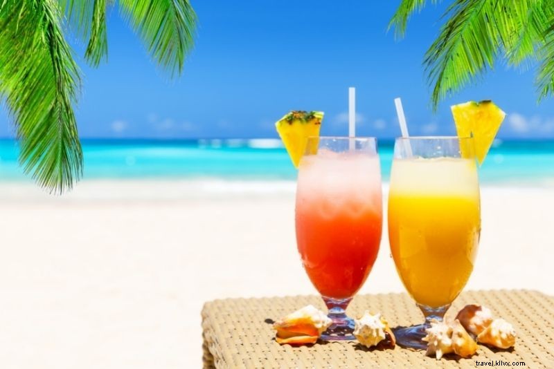 Discover 46 Must-Do Activities in Punta Cana, Dominican Republic