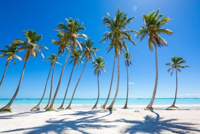 Discover 46 Must-Do Activities in Punta Cana, Dominican Republic