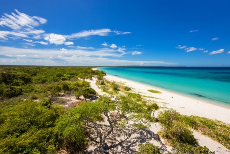 Discover 46 Must-Do Activities in Punta Cana, Dominican Republic