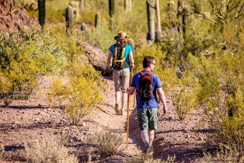 79 Exciting Things to Do in Phoenix, Arizona: Top Attractions & Adventures