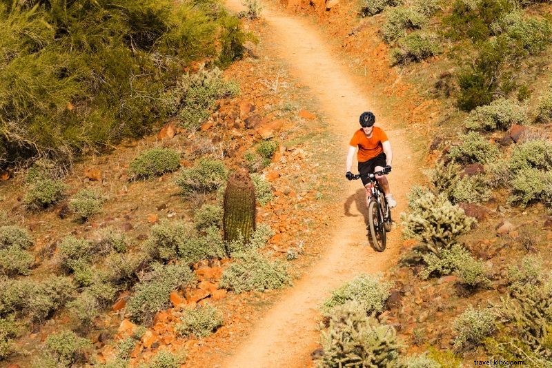 79 Exciting Things to Do in Phoenix, Arizona: Top Attractions & Adventures