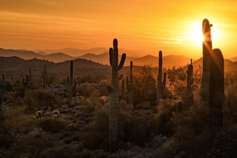79 Exciting Things to Do in Phoenix, Arizona: Top Attractions & Adventures