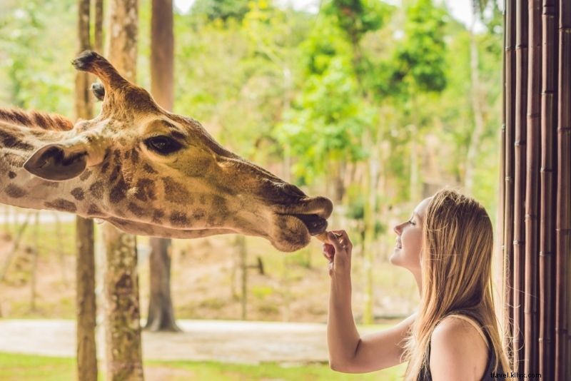 79 Exciting Things to Do in Phoenix, Arizona: Top Attractions & Adventures