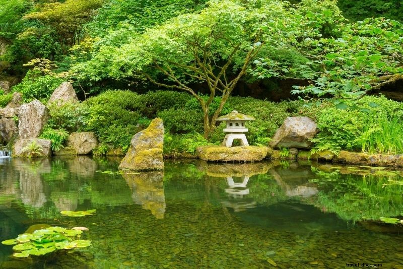 79 Exciting Things to Do in Phoenix, Arizona: Top Attractions & Adventures