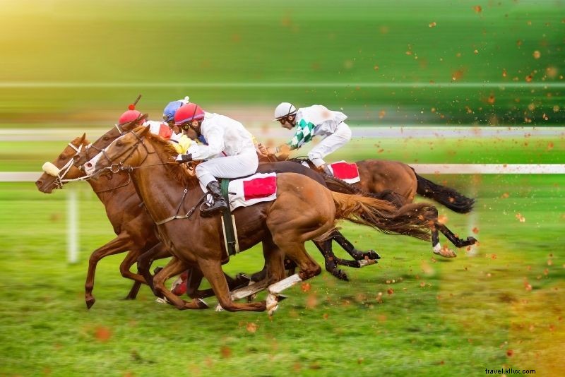 79 Exciting Things to Do in Phoenix, Arizona: Top Attractions & Adventures