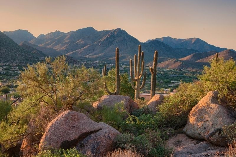 79 Exciting Things to Do in Phoenix, Arizona: Top Attractions & Adventures