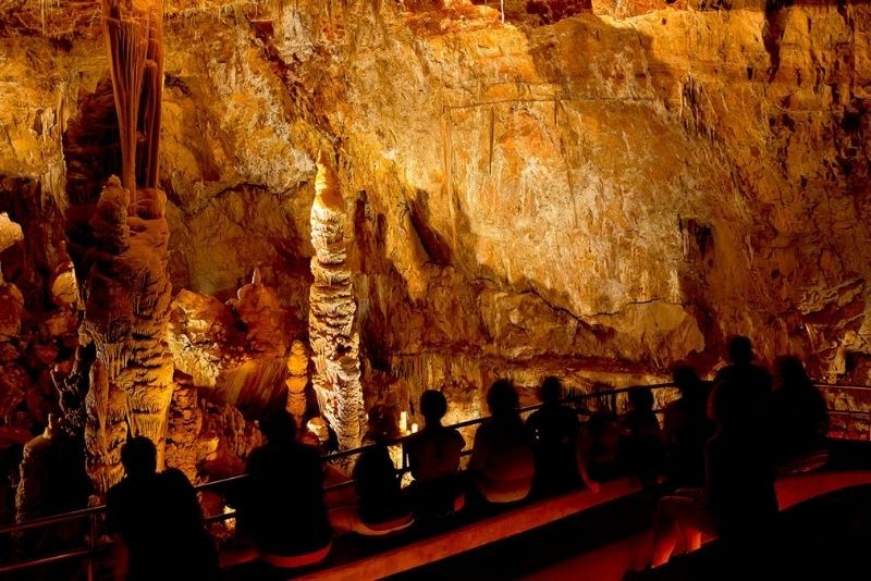 79 Exciting Things to Do in Phoenix, Arizona: Top Attractions & Adventures