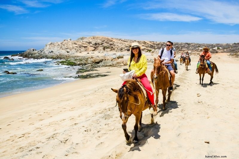 51 Ultimate Things to Do in Cabo San Lucas, Mexico: Beaches, Adventures & Cuisine