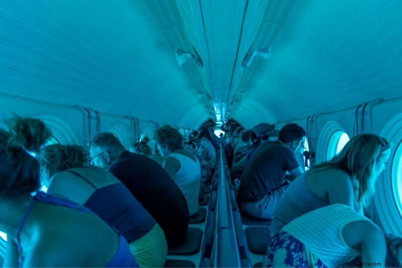 51 Ultimate Things to Do in Cabo San Lucas, Mexico: Beaches, Adventures & Cuisine