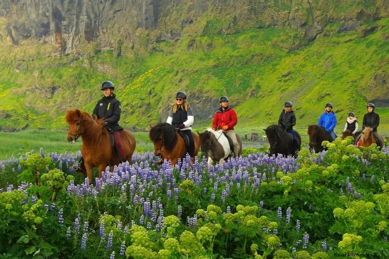99 Ultimate Things to Do in Iceland: The Definitive Bucket List Guide