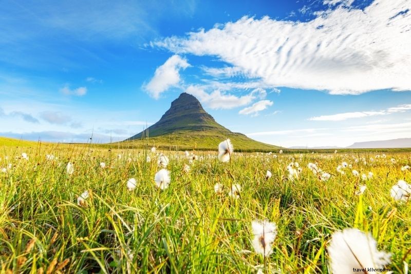 99 Ultimate Things to Do in Iceland: The Definitive Bucket List Guide