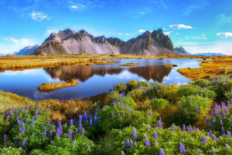 99 Ultimate Things to Do in Iceland: The Definitive Bucket List Guide