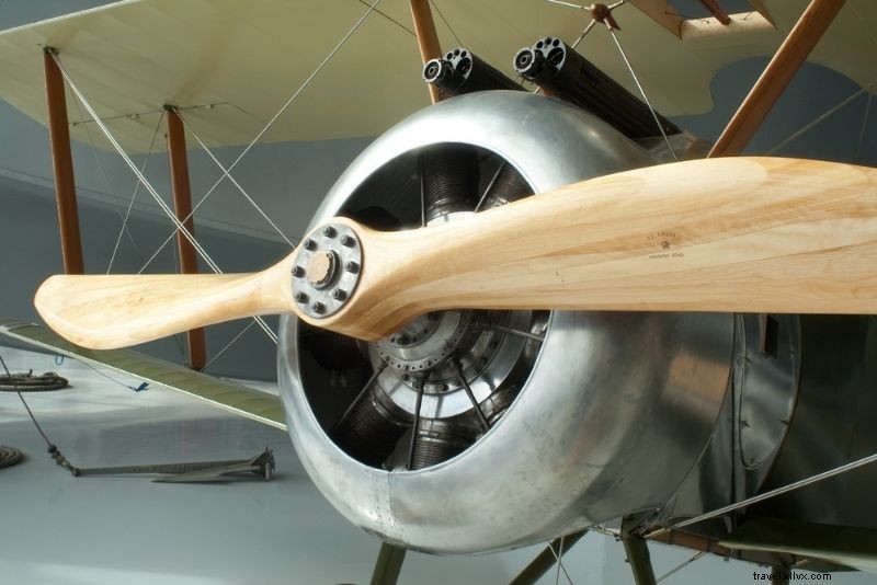 Discover 79 Fun & Unusual Things to Do in Dallas, Texas