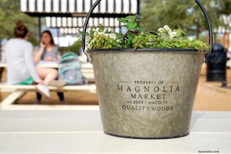 Discover 79 Fun & Unusual Things to Do in Dallas, Texas