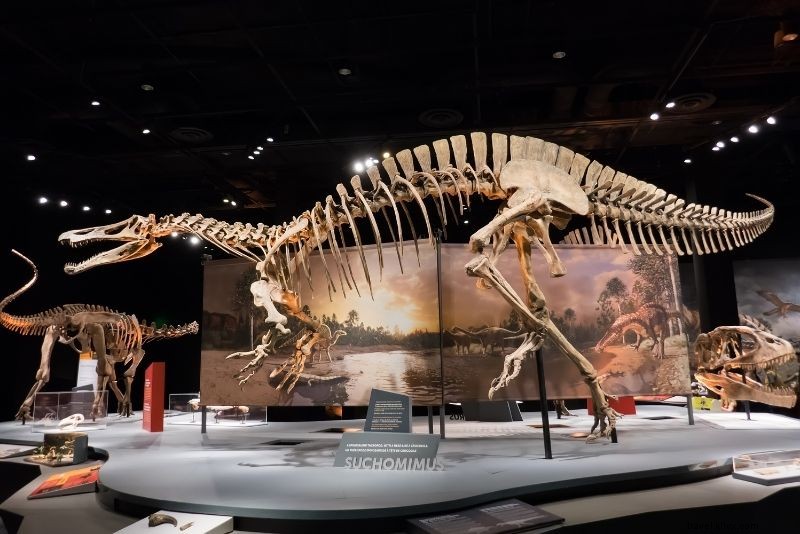 Discover 79 Fun & Unusual Things to Do in Dallas, Texas