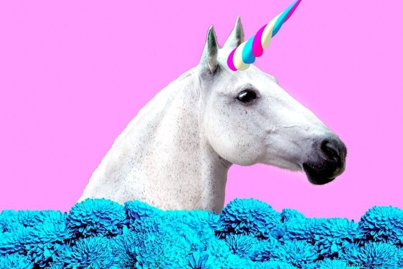 Discover 79 Fun & Unusual Things to Do in Dallas, Texas