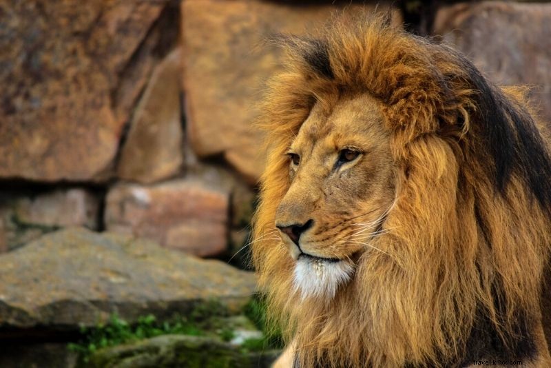 Discover 79 Fun & Unusual Things to Do in Dallas, Texas