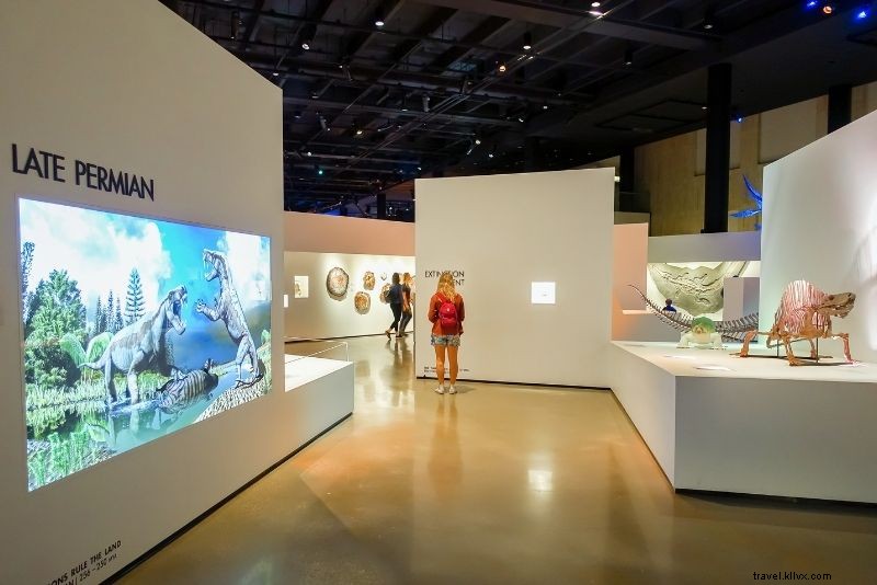 Discover 77 Fun and Unusual Things to Do in Houston, Texas