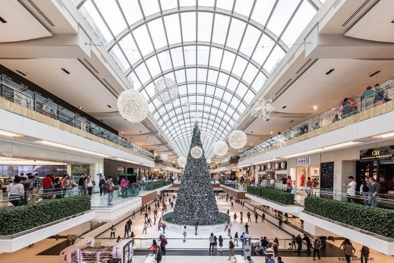 Discover 77 Fun and Unusual Things to Do in Houston, Texas