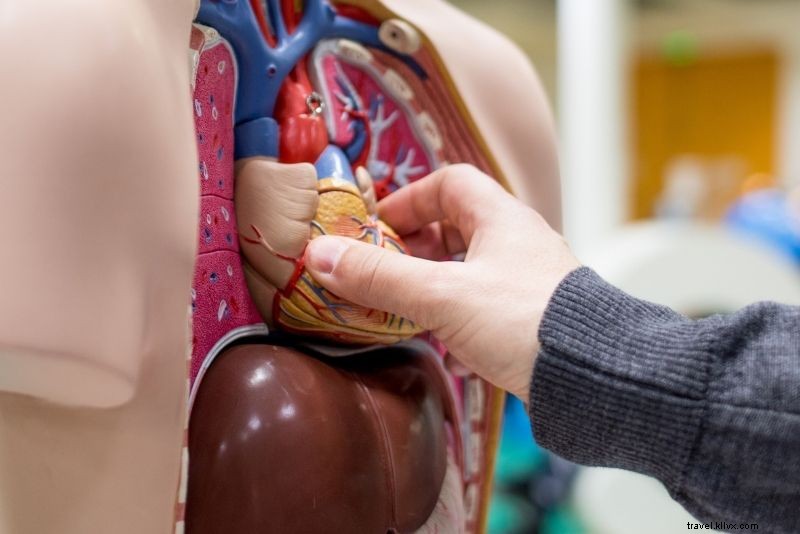 Discover 77 Fun and Unusual Things to Do in Houston, Texas