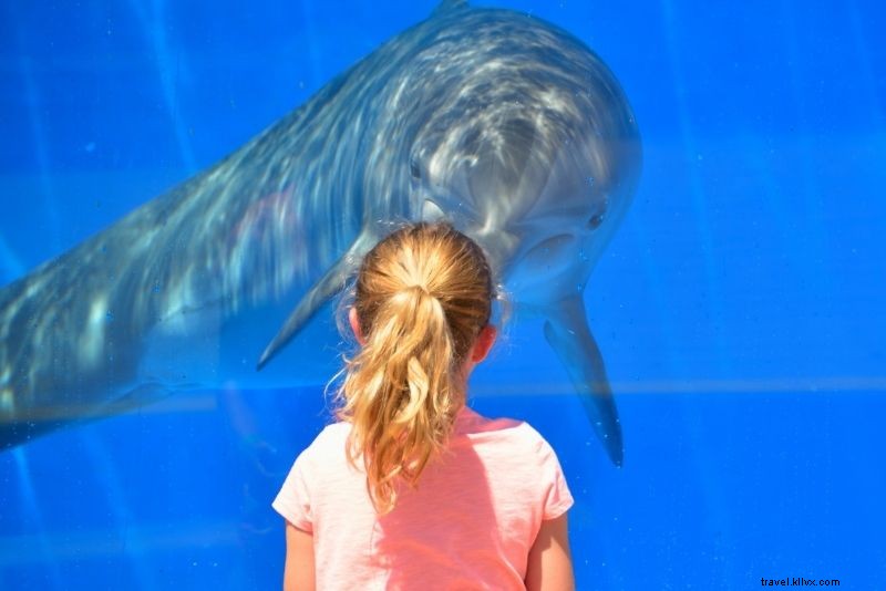 Discover 55 Fun & Unusual Things to Do in St. Augustine, Florida