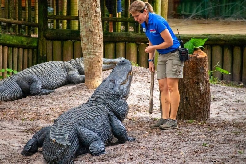 Discover 55 Fun & Unusual Things to Do in St. Augustine, Florida