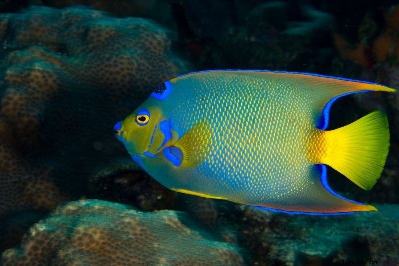 Discover 55 Fun & Unusual Things to Do in St. Augustine, Florida